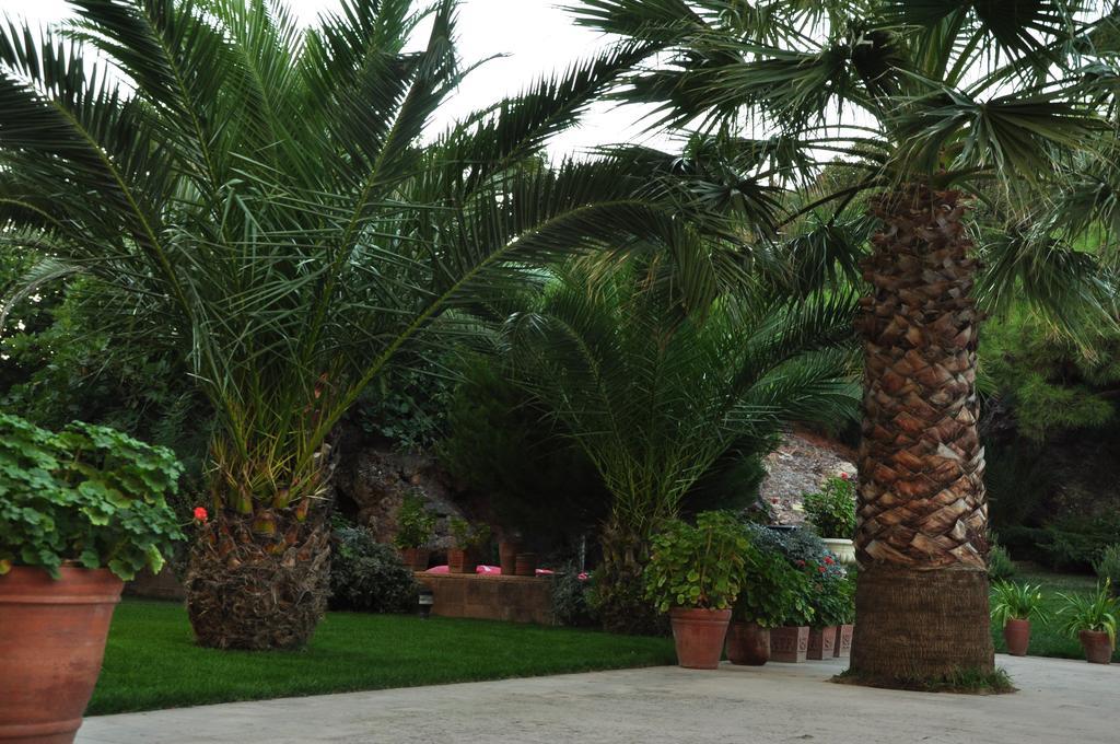 Palm Court Suites Ayvalik Exterior photo